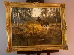 Kolekcjonerski rarytas! Łoś na przedpolu lasu - oryg. Georg Majewicz (1897-1965) 