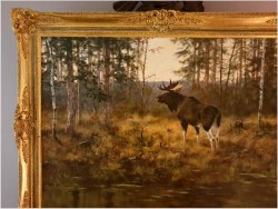 Kolekcjonerski rarytas! Łoś na przedpolu lasu - oryg. Georg Majewicz (1897-1965) 