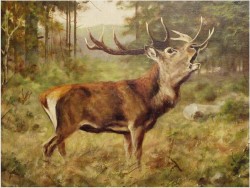 MALARSTWO AUKCYJNE! JELEŃ NA RYKOWISKU - Georg Majewicz (1897 - 1965 | Niemcy)