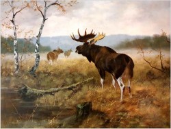 Rarytas kolekcjonerski! Łoś na leśnych mokradłach - oryg. Georg Majewicz (1897-1965)