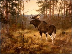 Kolekcjonerski rarytas! Łoś na przedpolu lasu - oryg. Georg Majewicz (1897-1965) 