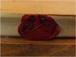 NA ZDROWIE ! org Prof. WILLI DEPRÉ (1922-1995r.)