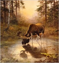 Kolekcjonerski rarytas! Łoś na mokradłach - oryg. Georg Majewicz (1897-1965) 