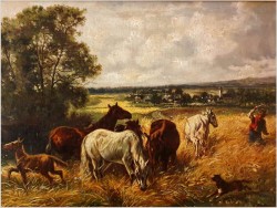 Wypas koni  - LUDWIG KOCH (Wien, Österreich, 1866 - 1934)