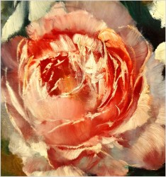 Peonie - Helmuth Andreas Volkwein (1920 - 2004)