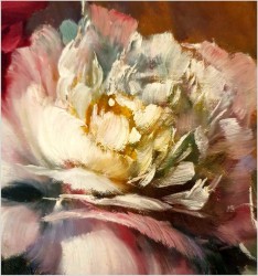 Peonie - Helmuth Andreas Volkwein (1920 - 2004)