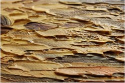 POLECAMY MALARSTWO PANORAMICZNE ! ZACHÓD SŁOŃCA - oryg CAROL SPREE 1907r.