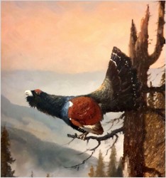 Niemieckie malarstwo aukcyjne! Głuszec na drzewie - Georg Wegener *1917