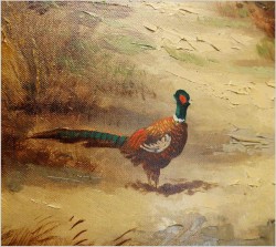 a11a9835c53d11d2b86dee3a4d78fbc4