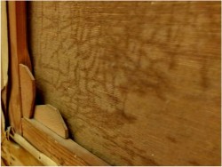 STARE MALARSTWO BATALISTYCZNE W RAMIE!