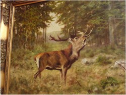 MALARSTWO AUKCYJNE! JELEŃ NA RYKOWISKU - Georg Majewicz (1897 - 1965 | Niemcy)