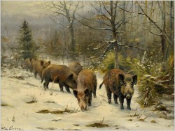 MEGA RARYTAS! ZIMA, DZIKI NA SKRAJU LASU  - WILLI LORENZ *1901r.