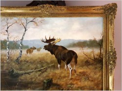 Rarytas kolekcjonerski! Łoś na leśnych mokradłach - oryg. Georg Majewicz (1897-1965)