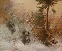 Rarytas Zimowy! Uciekające Dziki - W.v.Kamp (99cm X 89cm)