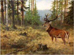 MALARSTWO AUKCYJNE! JELEŃ NA RYKOWISKU - ORYG. GEORG MAJEWICZ (1897-1965)