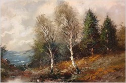 Mokradła Dachauer Moos - Benno Stadler *1908