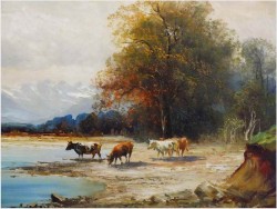 df17f5d99532a0ff9a4bf76e1e416c16