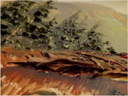 KRAJOBRAZ ALPEJSKI, TECHNIKA SZPACHLOWA - org COLLANDE!