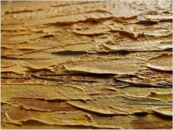 UNIKAT! DUŻY FORMAT, SEE BERGE BOOT - CAROL SPREE 1907r.