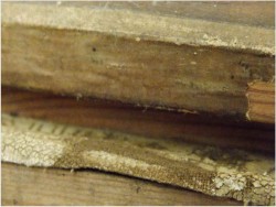 RUSSIAN TROJKA - VAELTL OTTO (1885-1977)