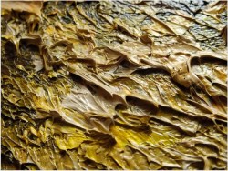 f574e008034216b6b6ae6f978731f1b7