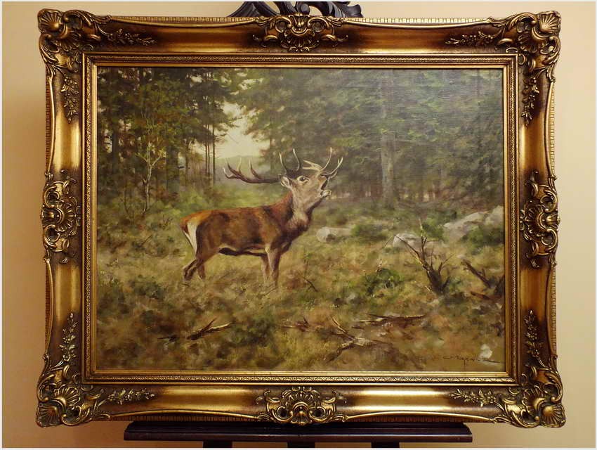 MALARSTWO AUKCYJNE! JELEŃ NA RYKOWISKU - Georg Majewicz (1897 - 1965 | Niemcy)