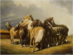 KONIE PRZED BURZĄ - FRIEDEL BRAMBRING (1925-1971)