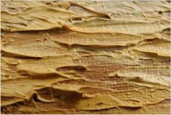 RARYTAS ! ZACHÓD SŁOŃCA ! oryg CAROL SPREE 1907r.